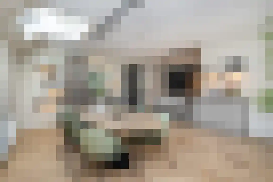 Dorpstienden 35 Ouddorp thumbnail 15