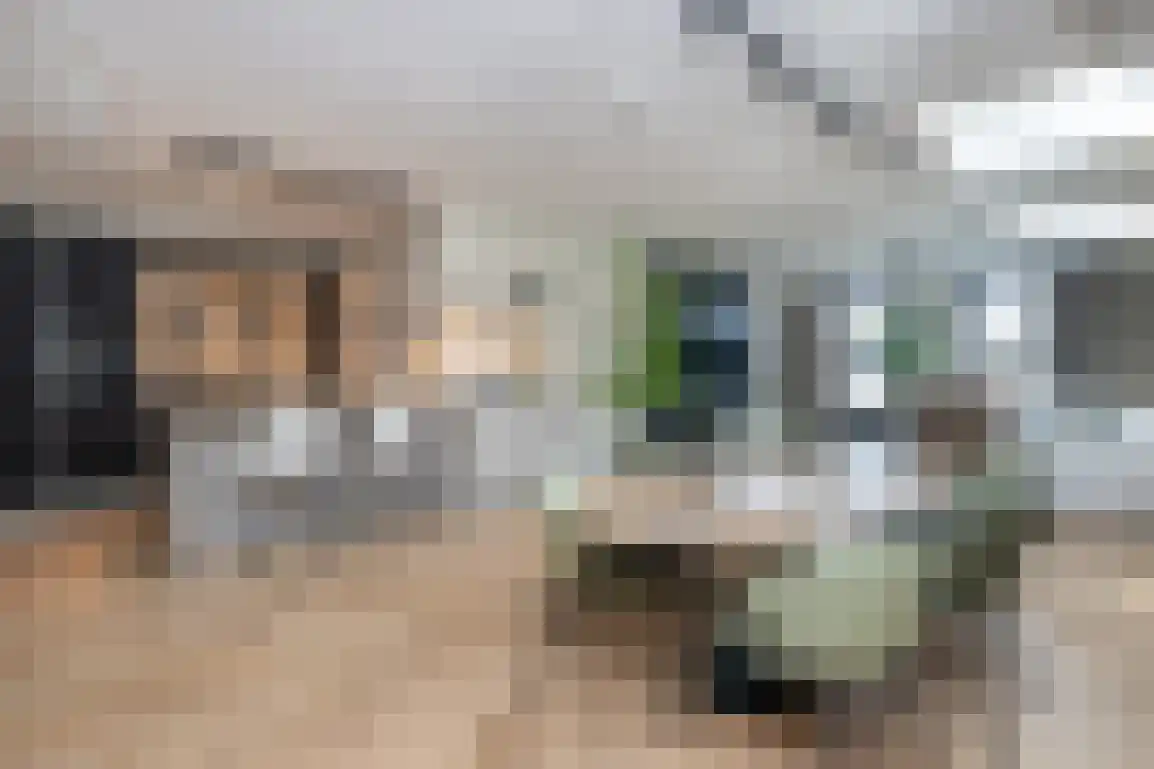 Dorpstienden 35 Ouddorp thumbnail 16