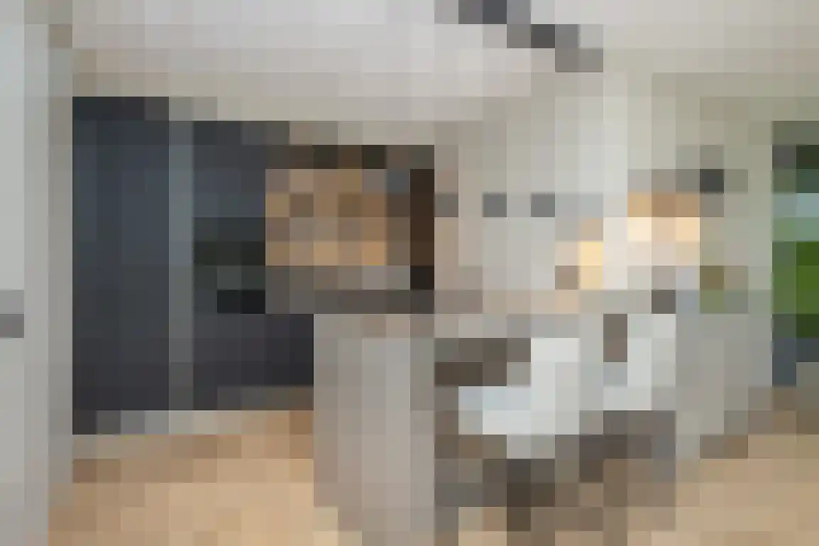 Dorpstienden 35 Ouddorp thumbnail 17