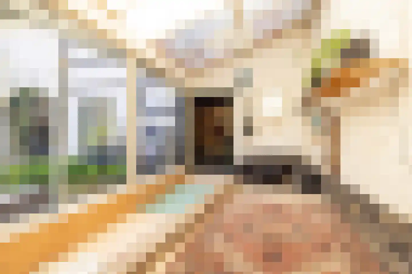 Dorpstraat 1 Oirsbeek thumbnail 29
