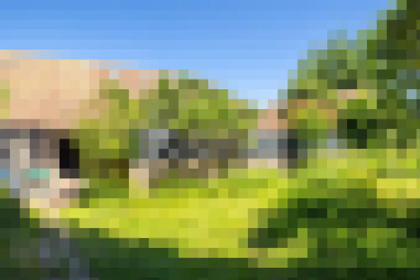 Dorpstraat 1 Oirsbeek thumbnail 43