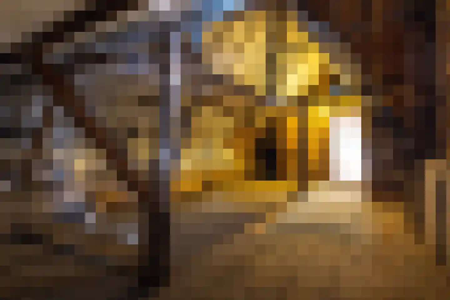 Dorpstraat 1 Oirsbeek thumbnail 57