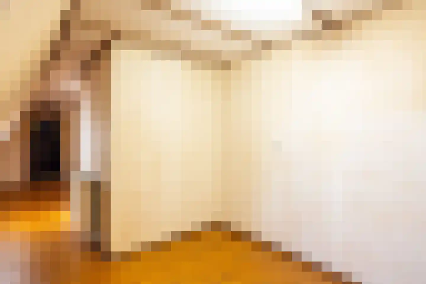 Dorpstraat 1 Oirsbeek thumbnail 60
