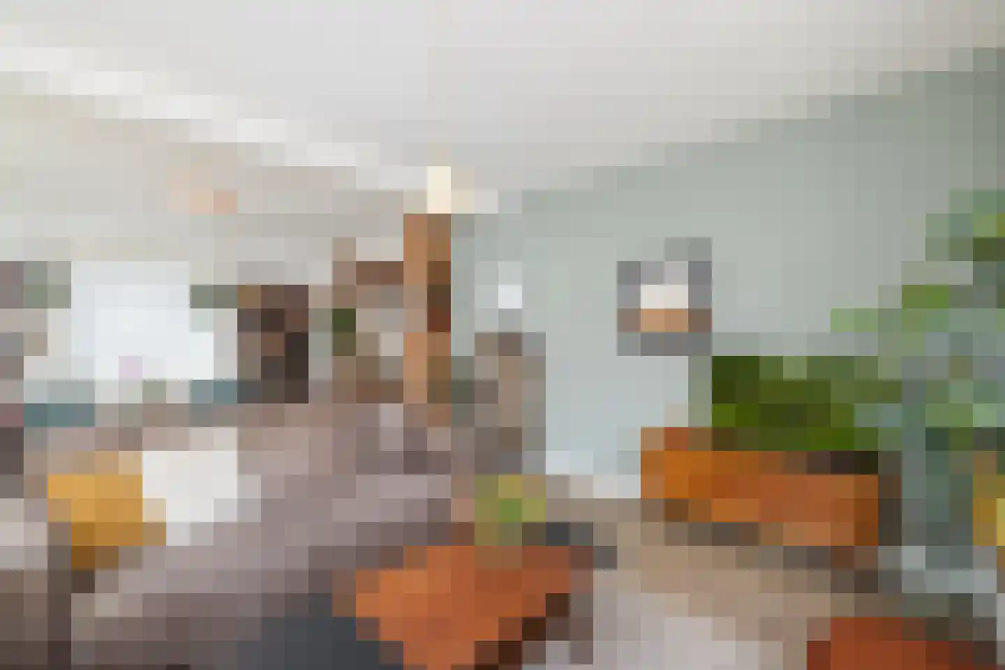 Dorpstraat 1 's-Hertogenbosch thumbnail 10