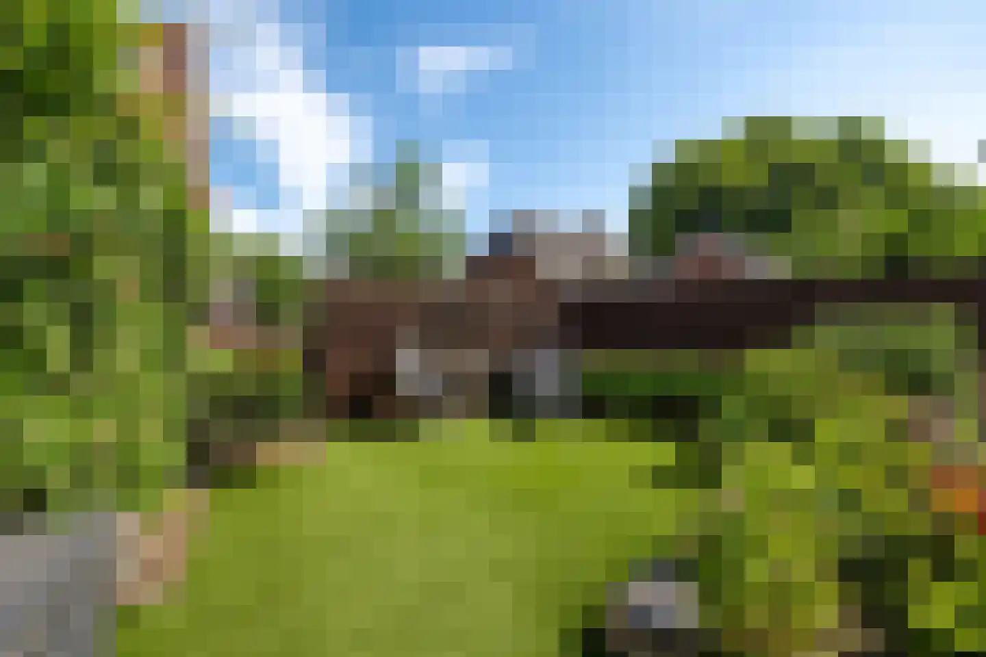 Dorpstraat 1 's-Hertogenbosch thumbnail 20