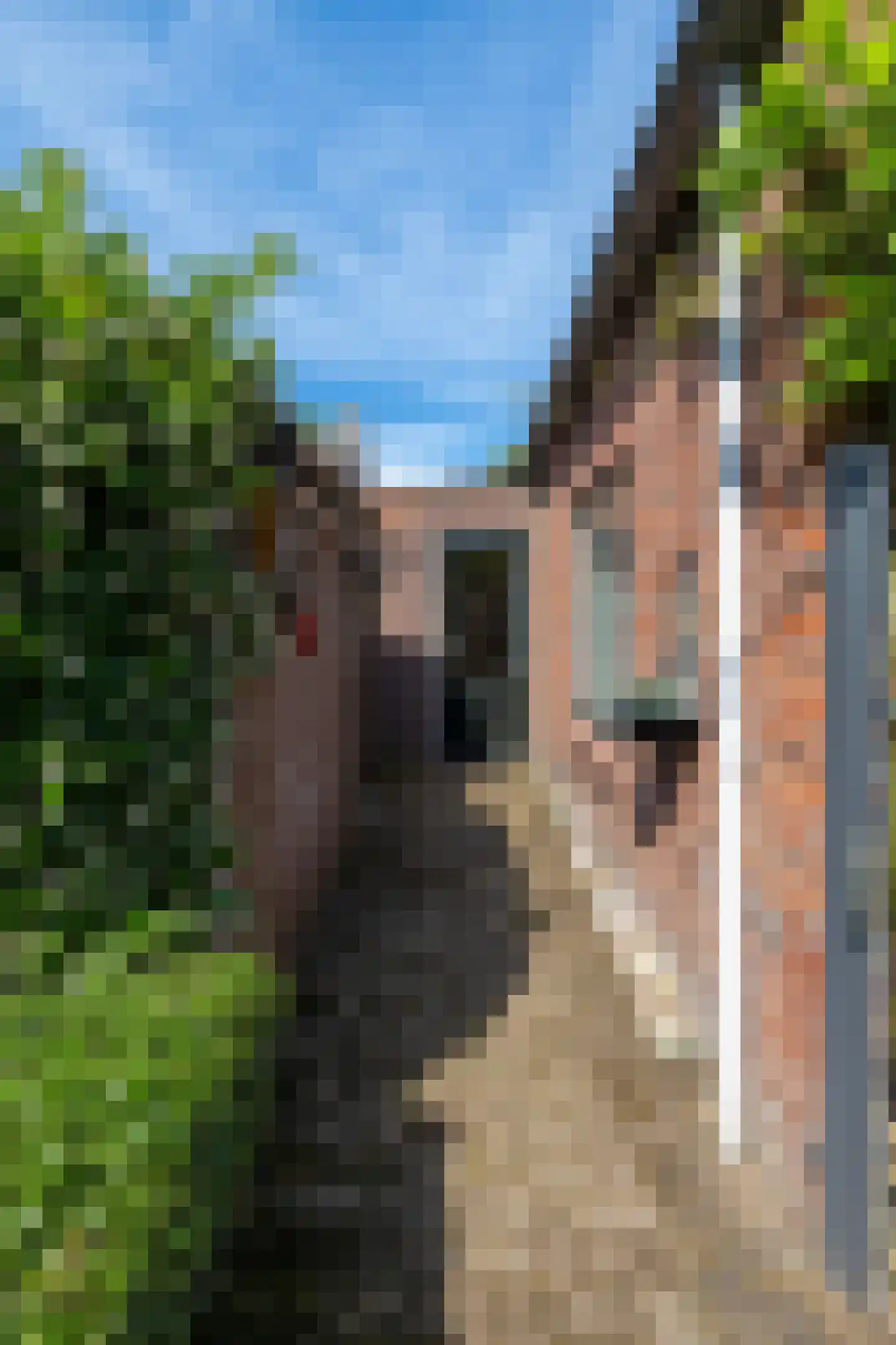 Dorpstraat 1 's-Hertogenbosch thumbnail 23