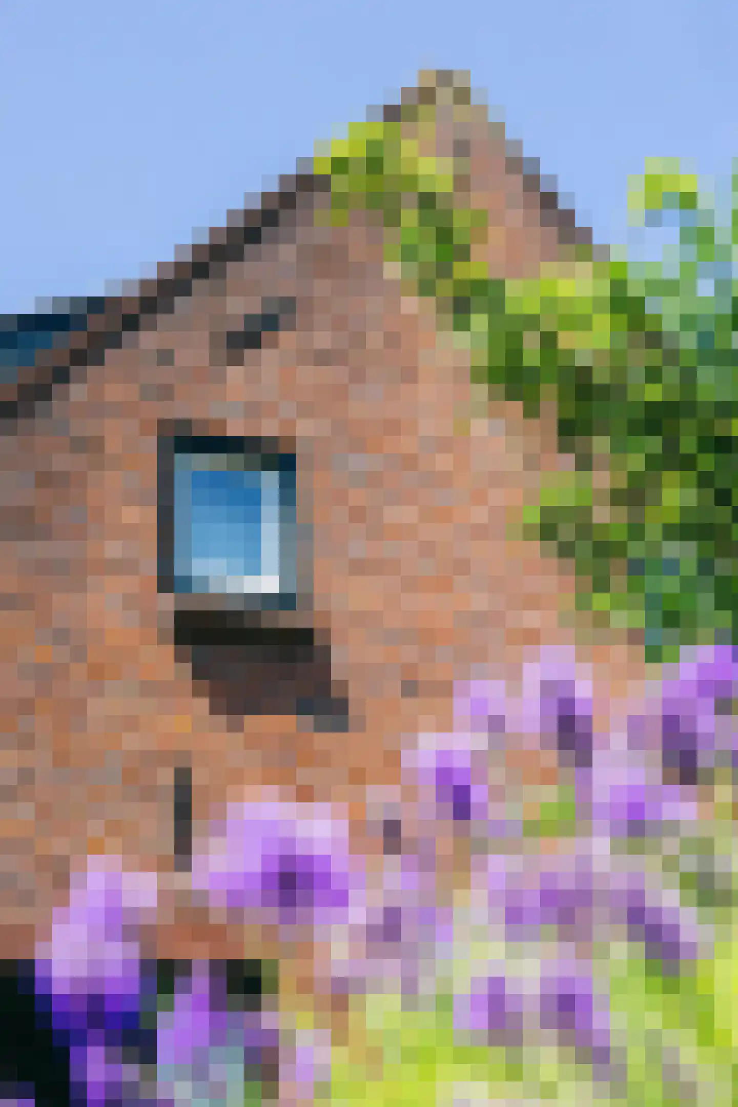Dorpstraat 1 's-Hertogenbosch thumbnail 27