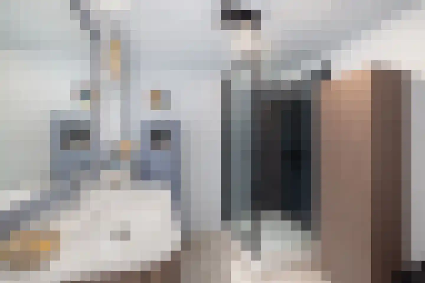 Dorpstraat 1 's-Hertogenbosch thumbnail 32
