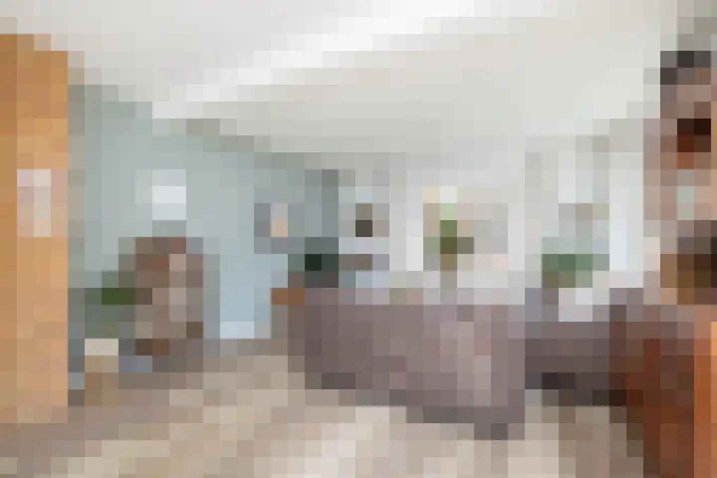 Dorpstraat 1 's-Hertogenbosch thumbnail 8