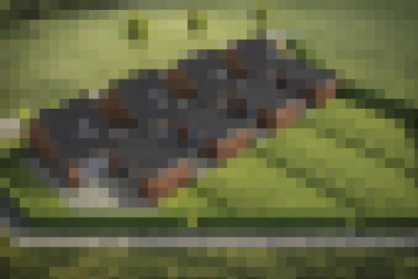 Dorpstraat 1 Spaubeek thumbnail 11