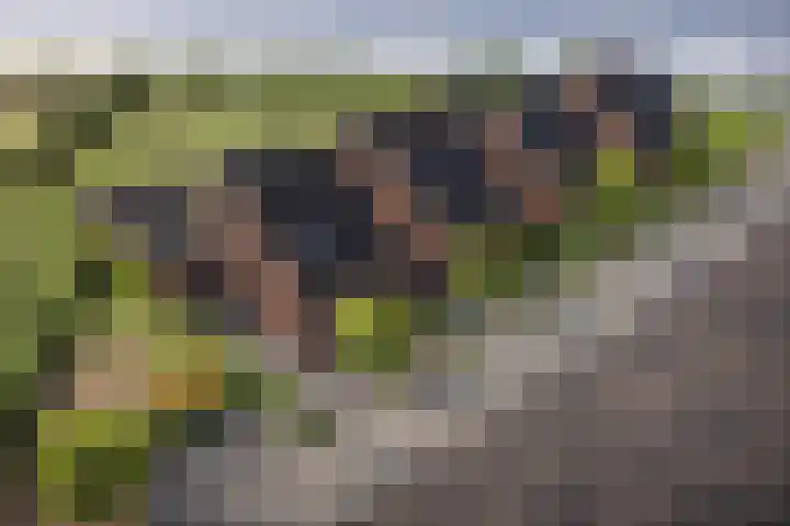 Dorpstraat 1 Spaubeek thumbnail 13