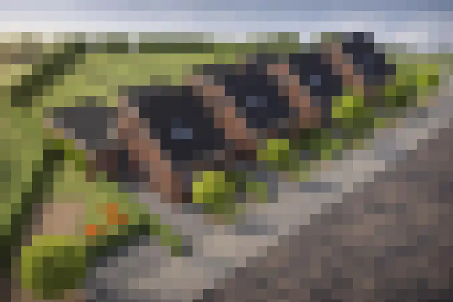 Dorpstraat 1 Spaubeek thumbnail 13