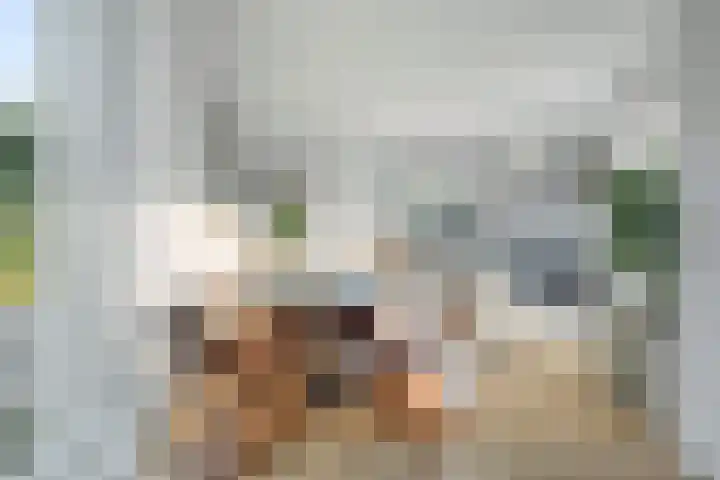 Dorpstraat 1 Spaubeek thumbnail 4