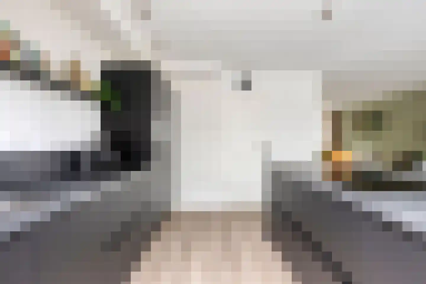Dorpstraat 10 Geffen thumbnail 12