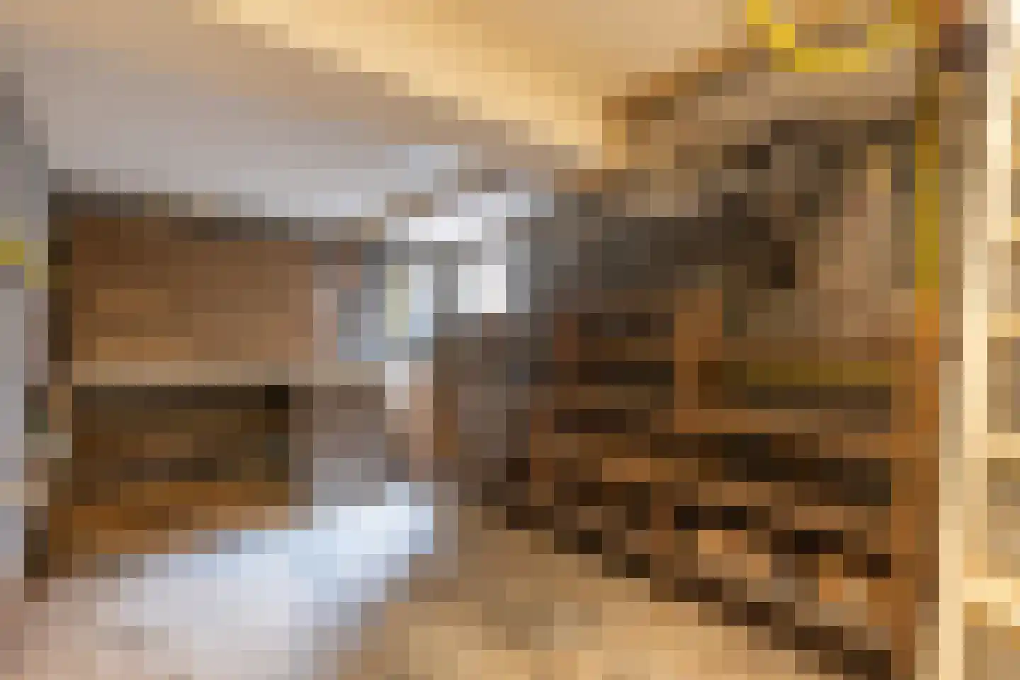Dorpstraat 10 Gendt thumbnail 15