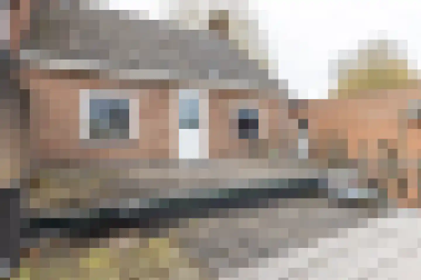 Dorpstraat 10 Gendt thumbnail 25