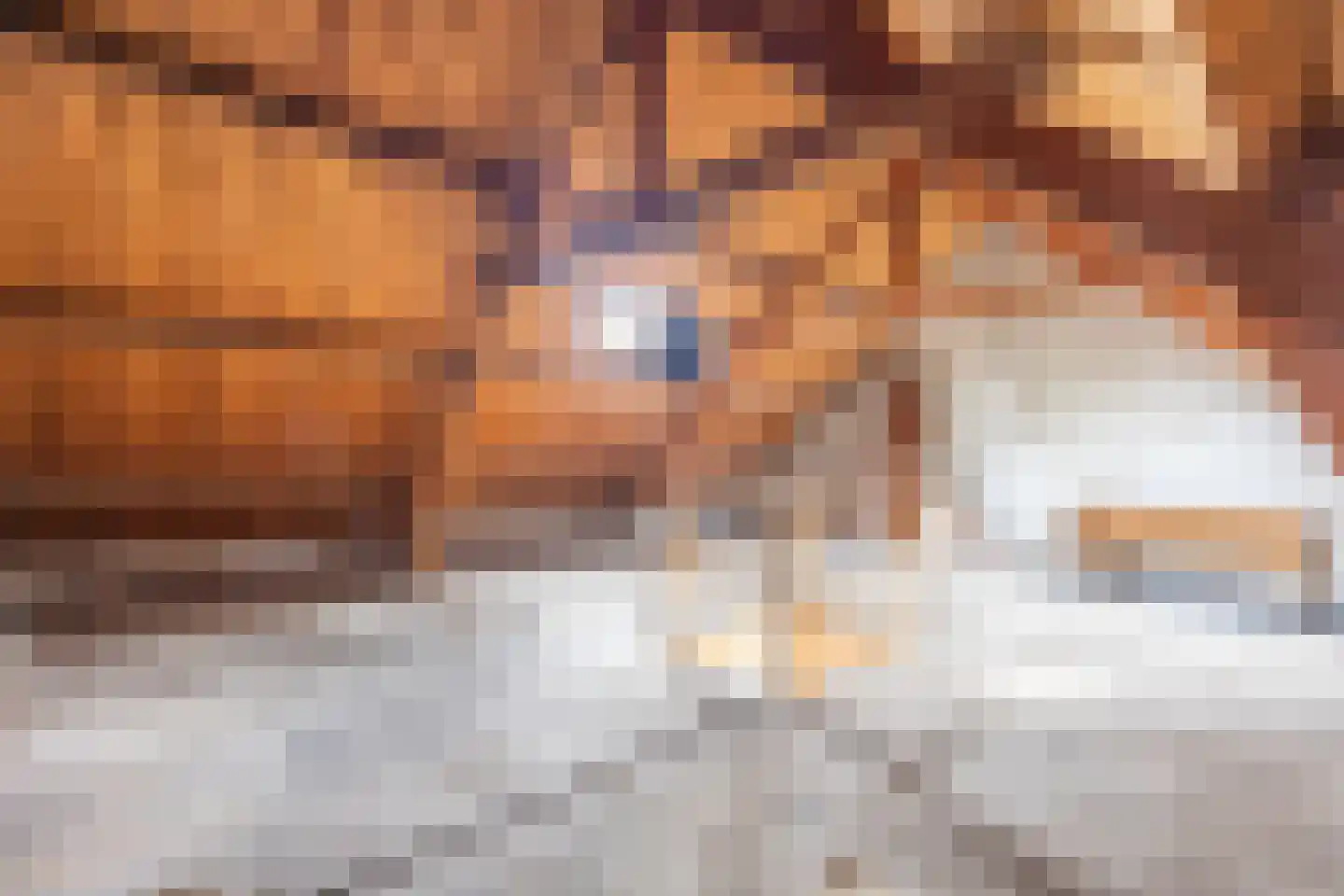 Dorpstraat 10 Gendt thumbnail 36