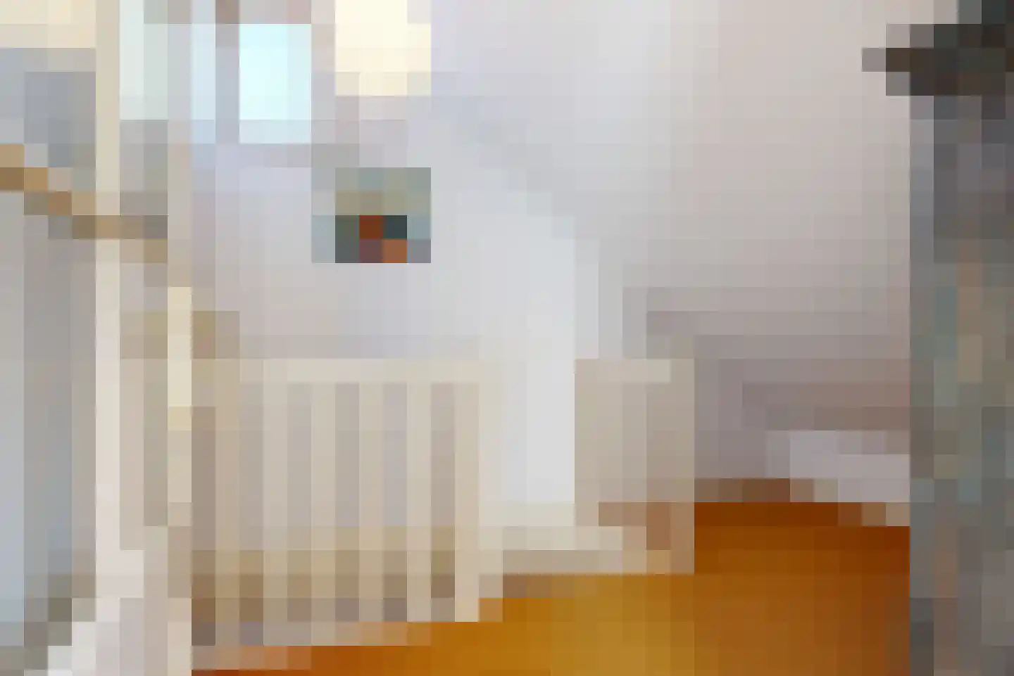 Dorpstraat 10 Linschoten thumbnail 27