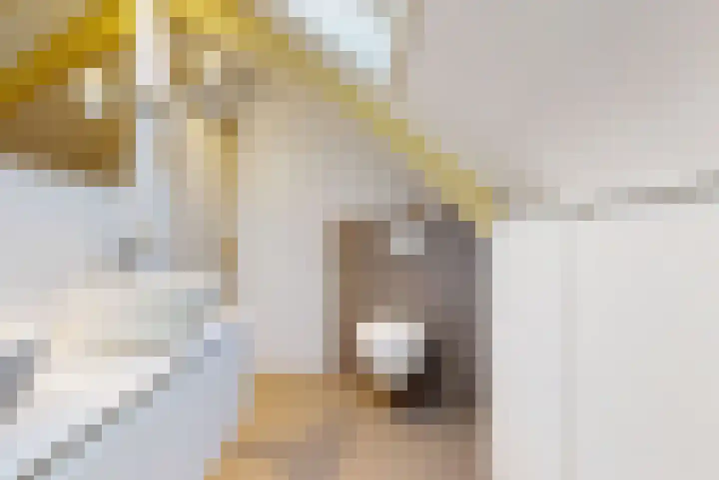Dorpstraat 10 Linschoten thumbnail 30
