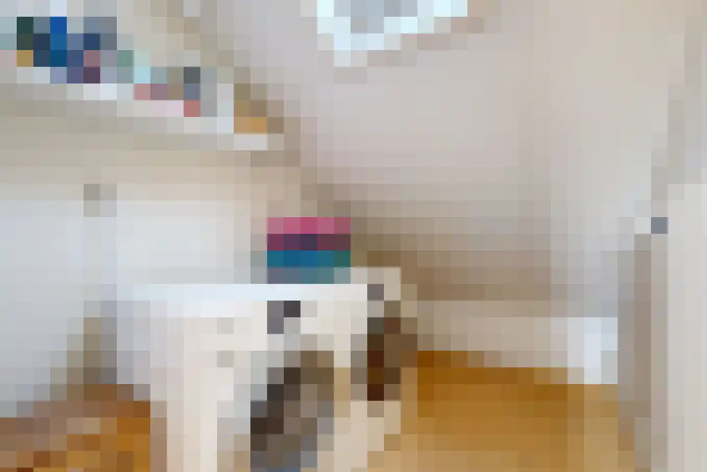 Dorpstraat 10 Linschoten thumbnail 33