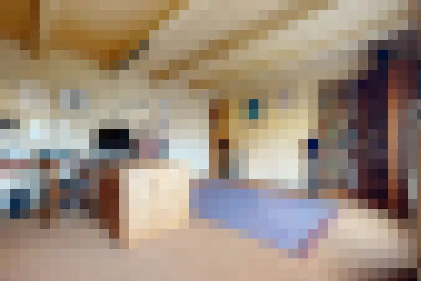 Dorpstraat 10 Linschoten thumbnail 38