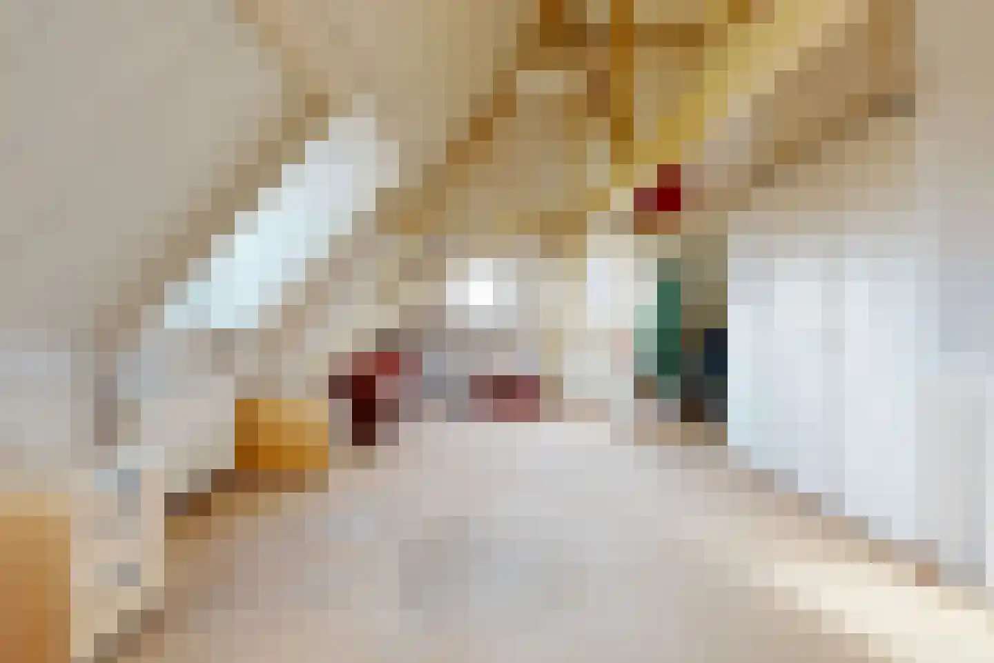 Dorpstraat 10 Linschoten thumbnail 42