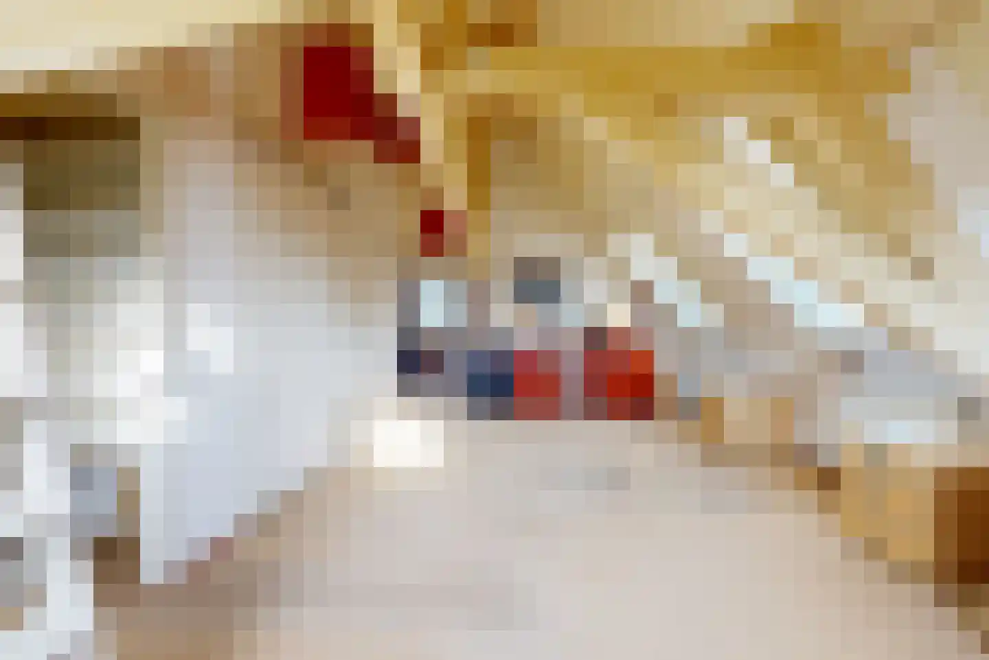 Dorpstraat 10 Linschoten thumbnail 43