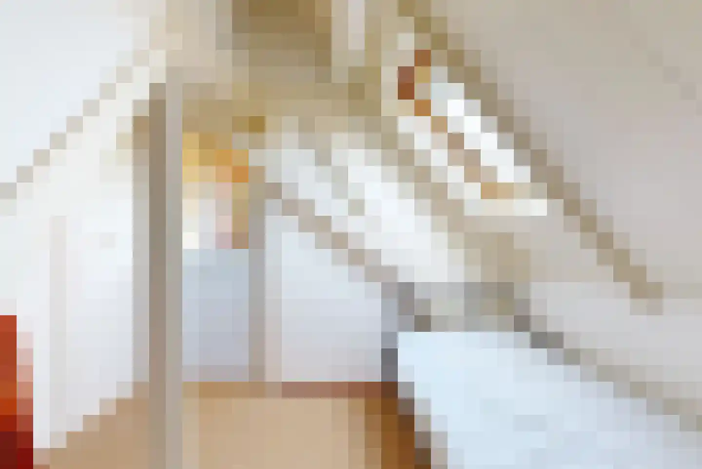 Dorpstraat 10 Linschoten thumbnail 47