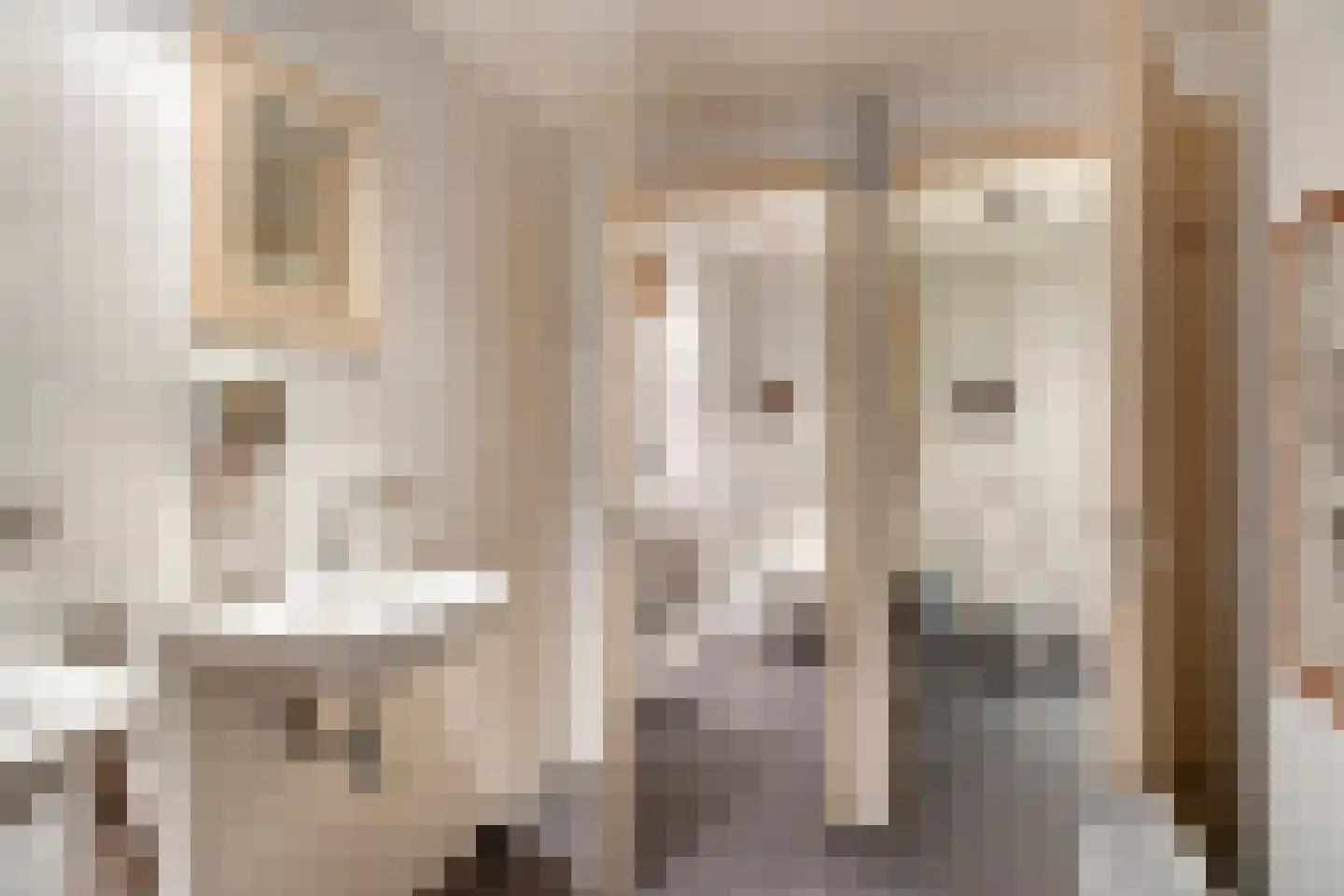 Dorpstraat 10 Sint Geertruid thumbnail 15