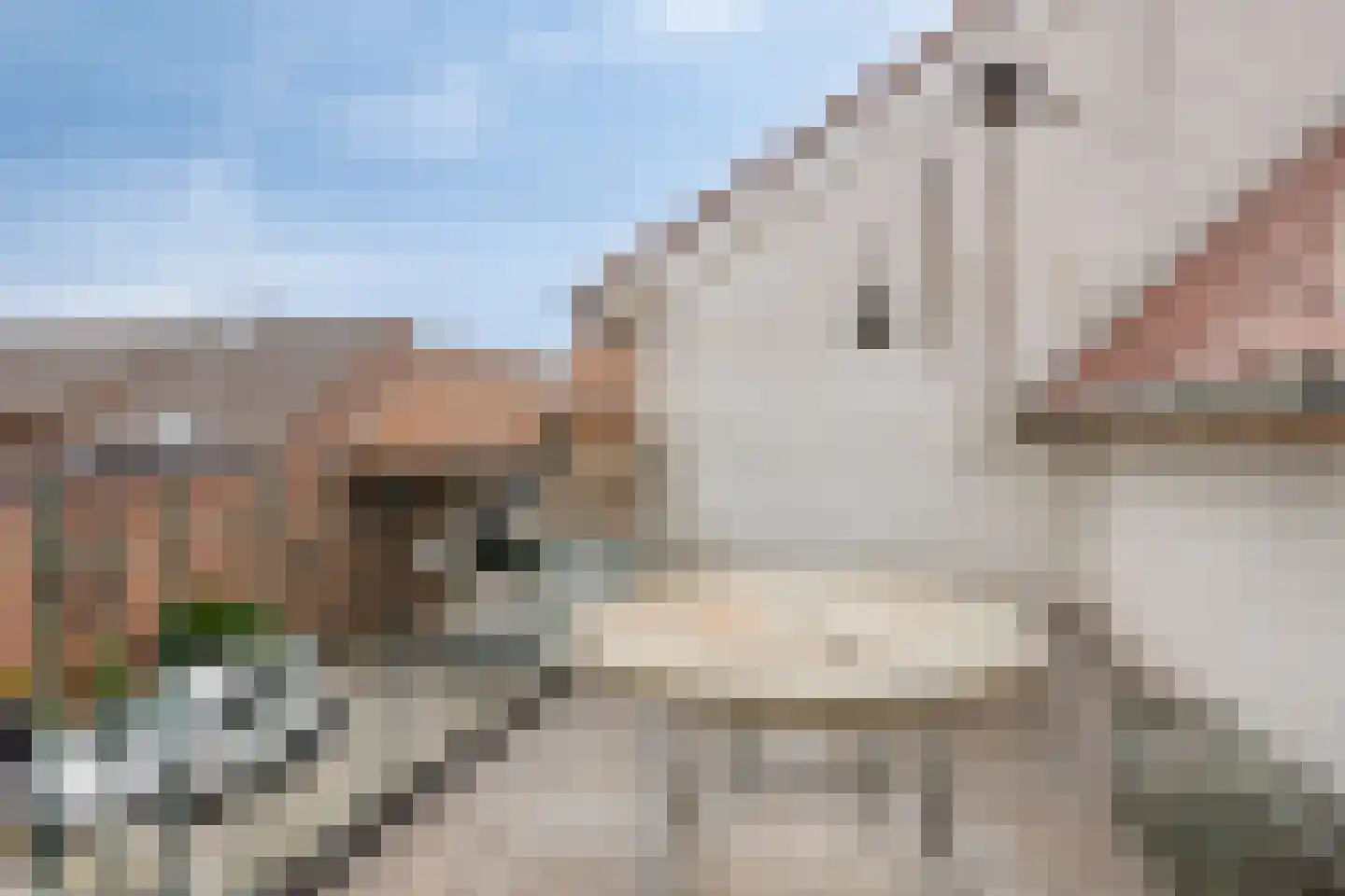 Dorpstraat 10 Sint Geertruid thumbnail 35