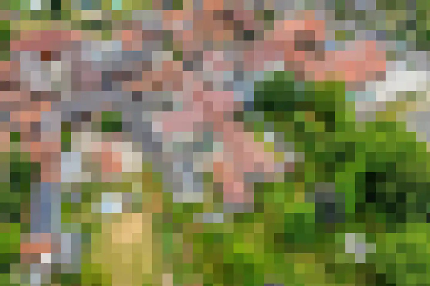 Dorpstraat 10 Sint Geertruid thumbnail 9