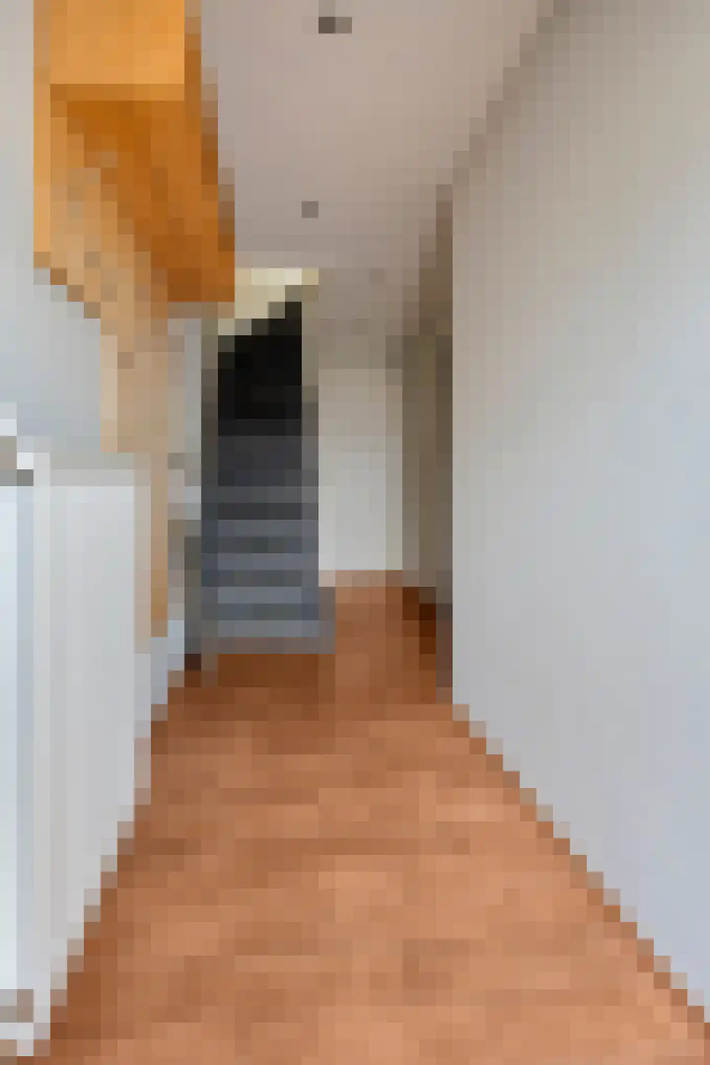 Dorpstraat 100 Luyksgestel thumbnail 10