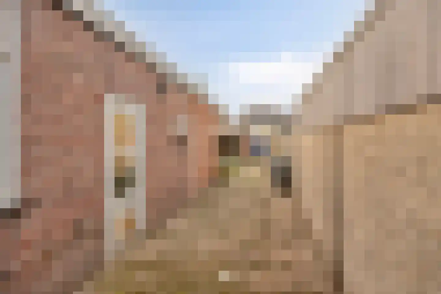 Dorpstraat 100 Luyksgestel thumbnail 19