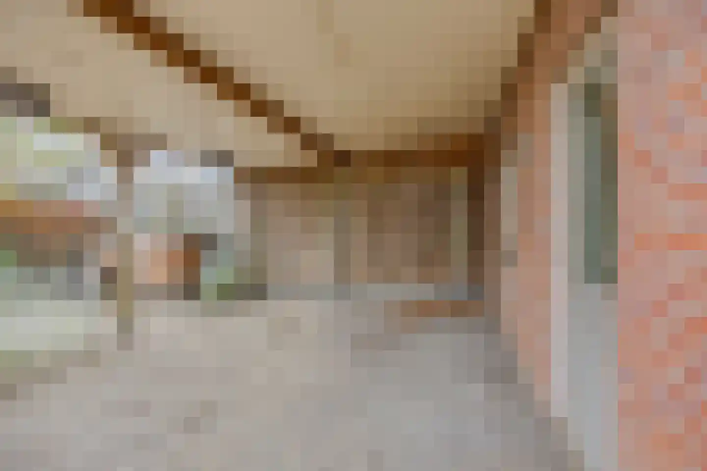 Dorpstraat 100 Luyksgestel thumbnail 20