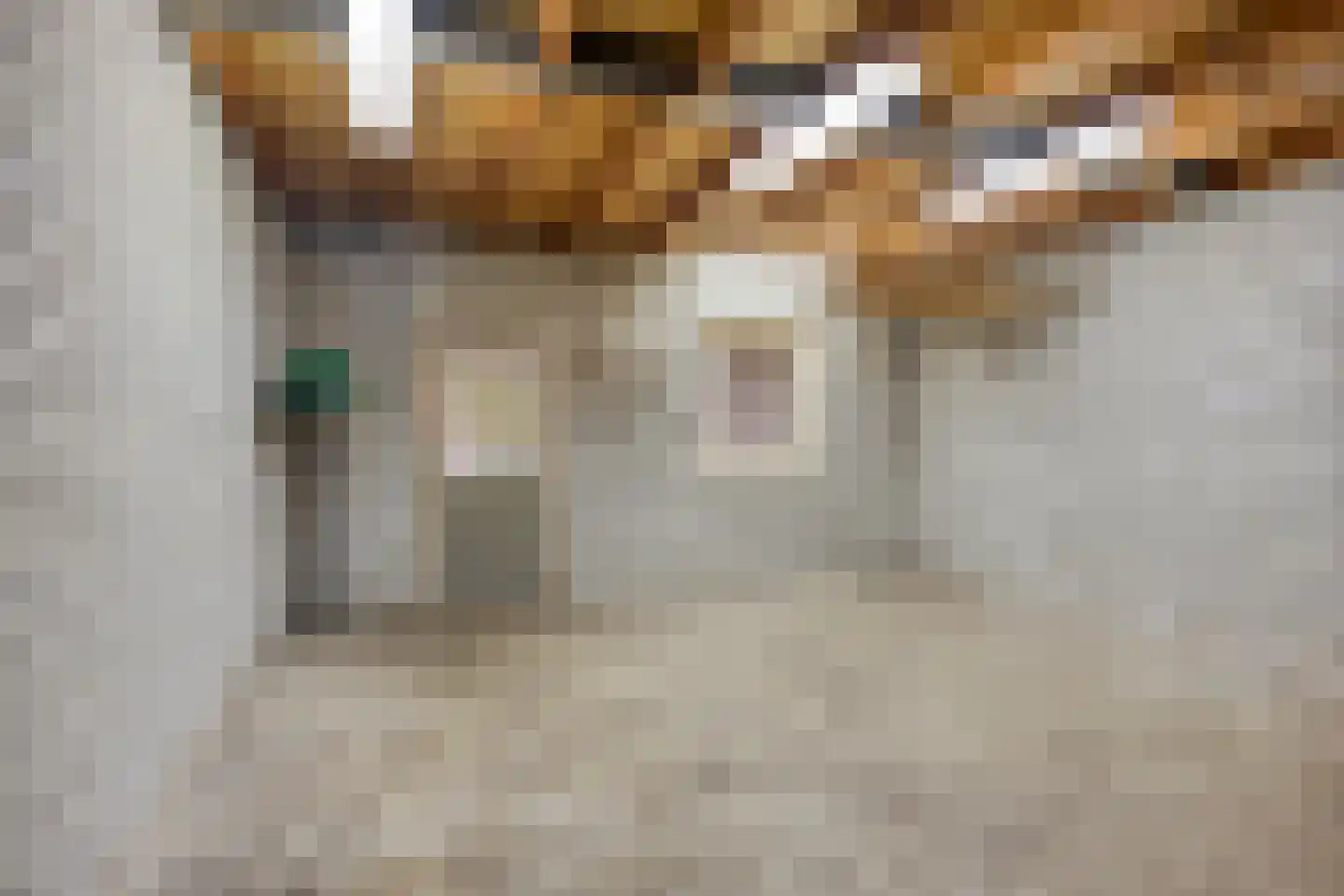 Dorpstraat 100 Luyksgestel thumbnail 22