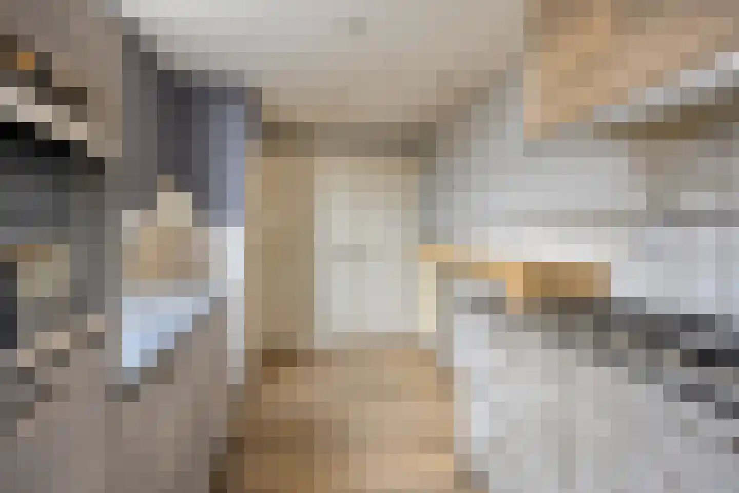 Dorpstraat 100 Luyksgestel thumbnail 7