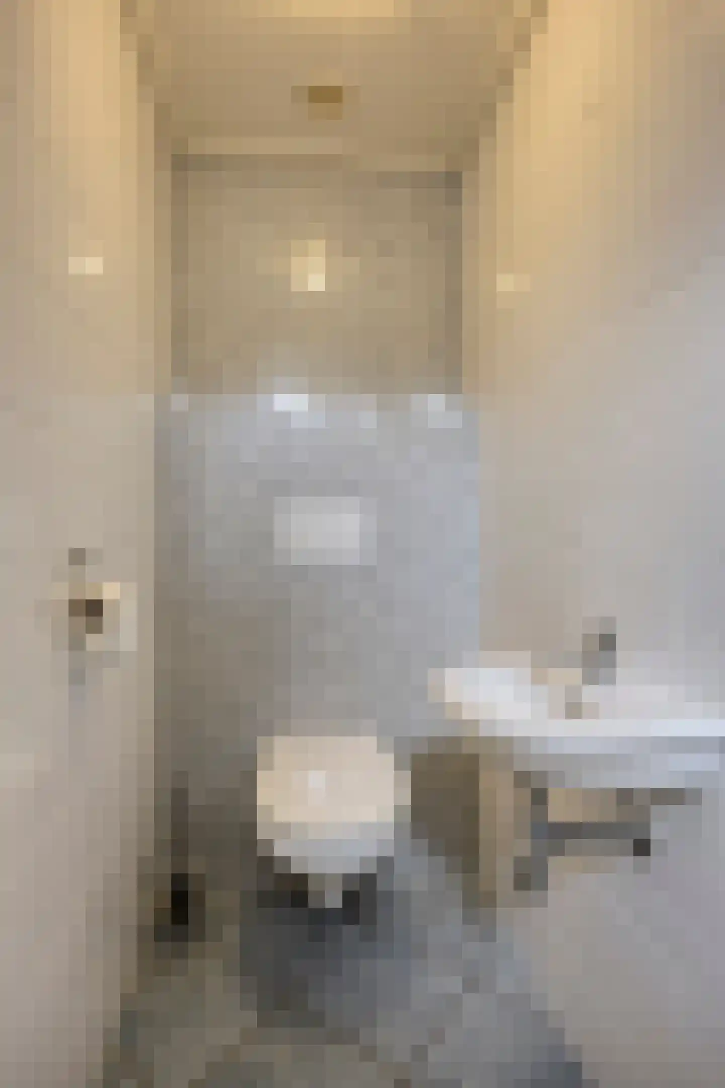 Dorpstraat 100 Luyksgestel thumbnail 8