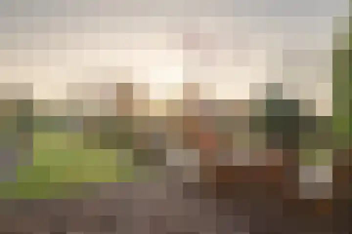 Dorpstraat 102 Spaubeek foto 2