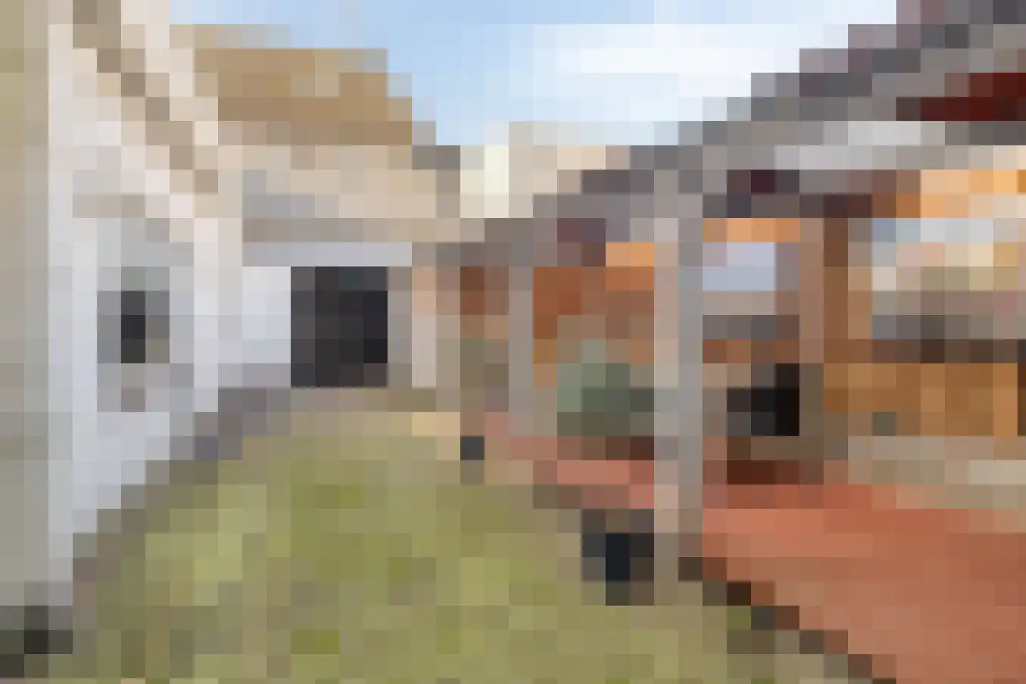 Dorpstraat 105 Ulvenhout thumbnail 27