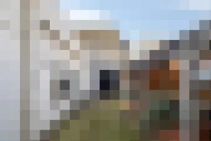Dorpstraat 105 Ulvenhout thumbnail 4