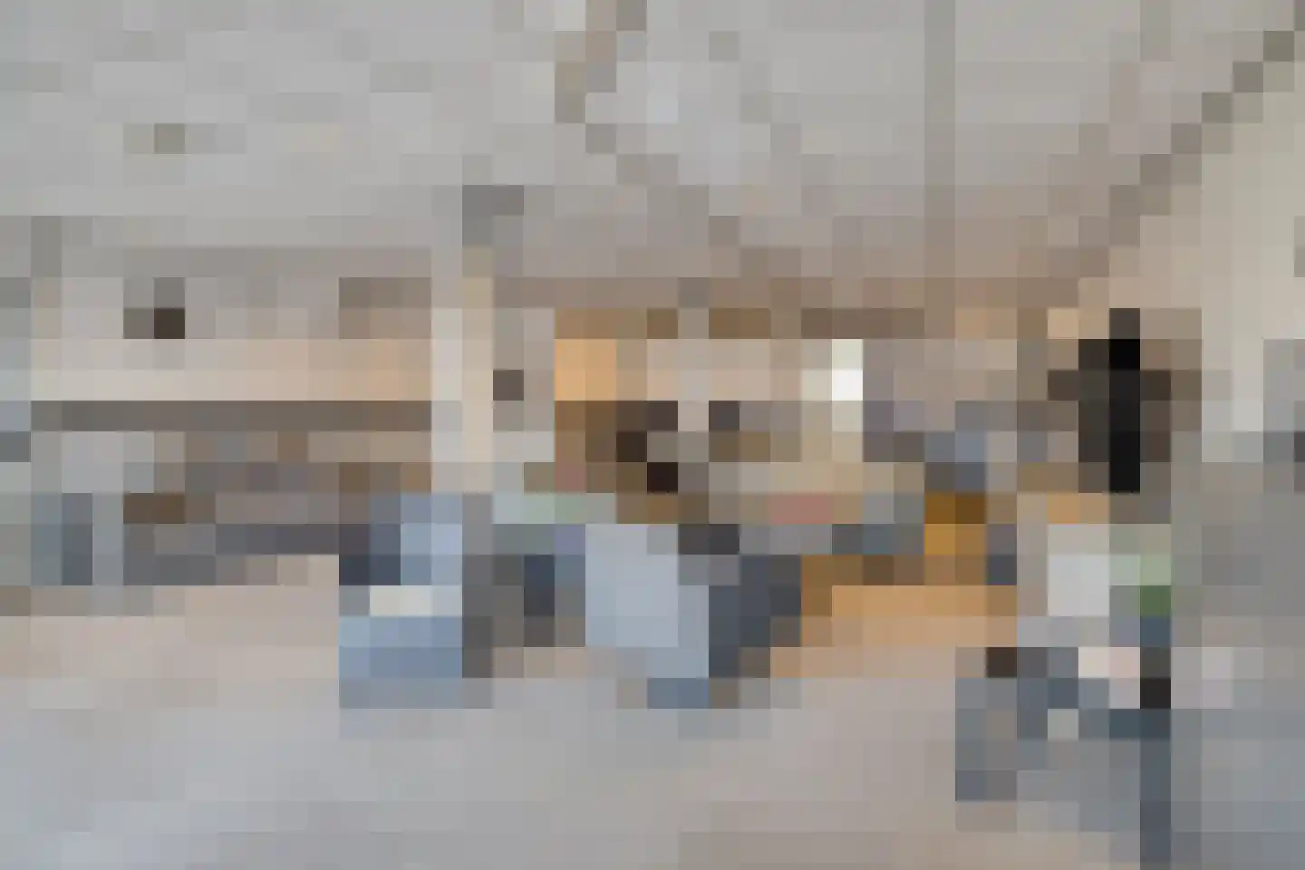Dorpstraat 105 Ulvenhout thumbnail 6