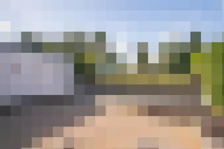 Dorpstraat 109 Spaubeek thumbnail 22