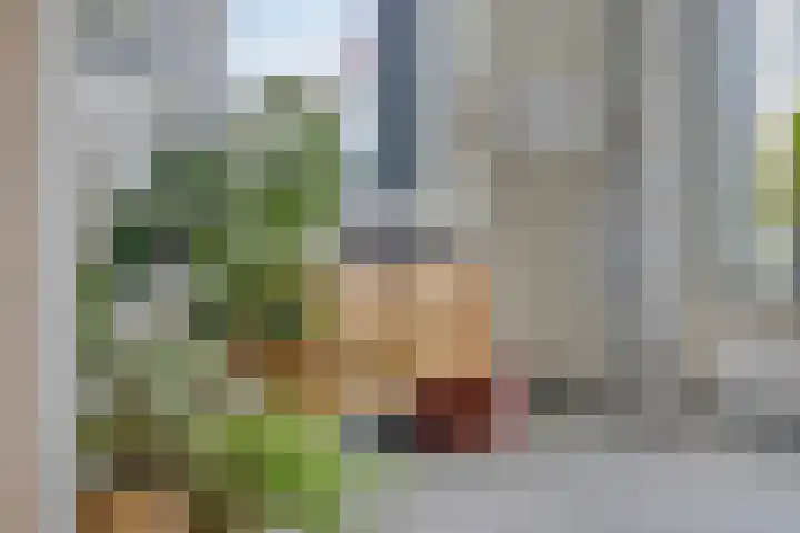 Dorpstraat 109 Veldhoven thumbnail 10