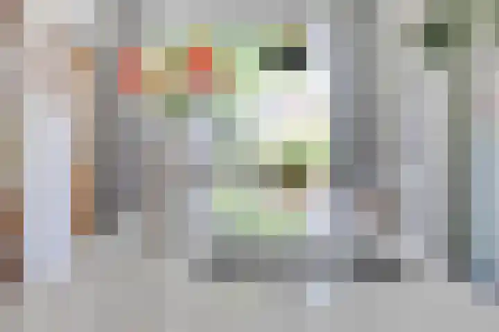 Dorpstraat 109 Veldhoven thumbnail 15
