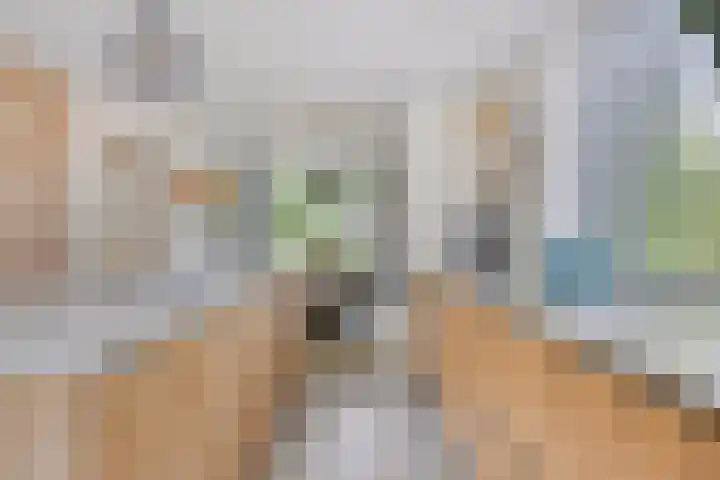 Dorpstraat 109 Veldhoven thumbnail 17
