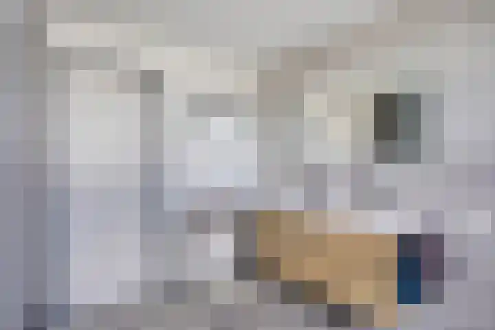 Dorpstraat 109 Veldhoven thumbnail 33