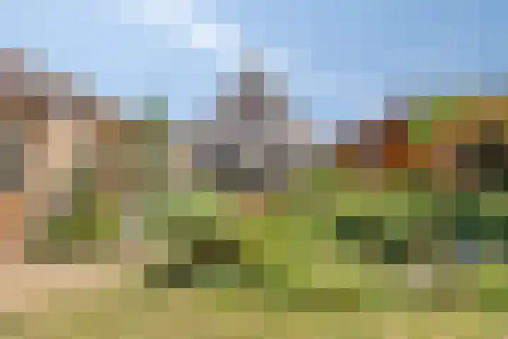 Dorpstraat 109 Veldhoven thumbnail 4