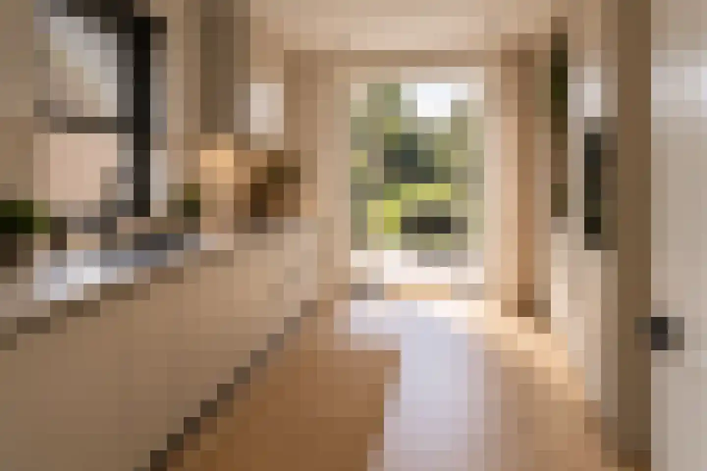 Dorpstraat 11 Leende thumbnail 14