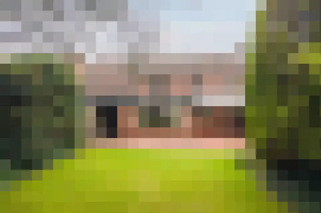 Dorpstraat 11 Leende thumbnail 26