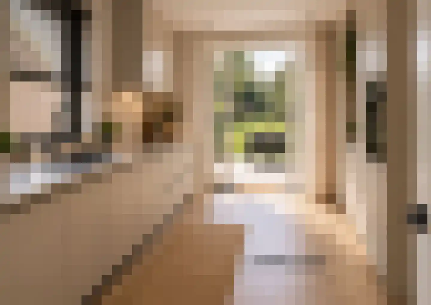Dorpstraat 11 Leende thumbnail 57